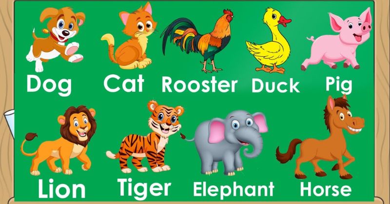 Từ vựng tiếng Anh về chủ đề con vật. (Ảnh: Sưu tầm Internet)