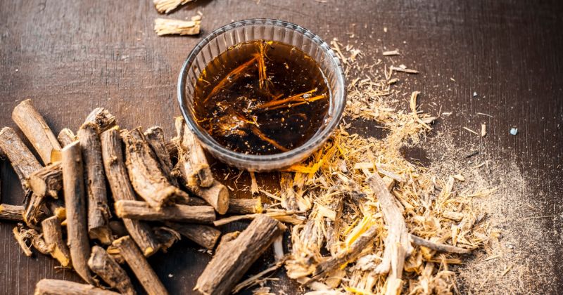 Trà cảm thảo có tác dụng an thần, giúp ngủ ngon (Ảnh: Sưu tầm Internet)