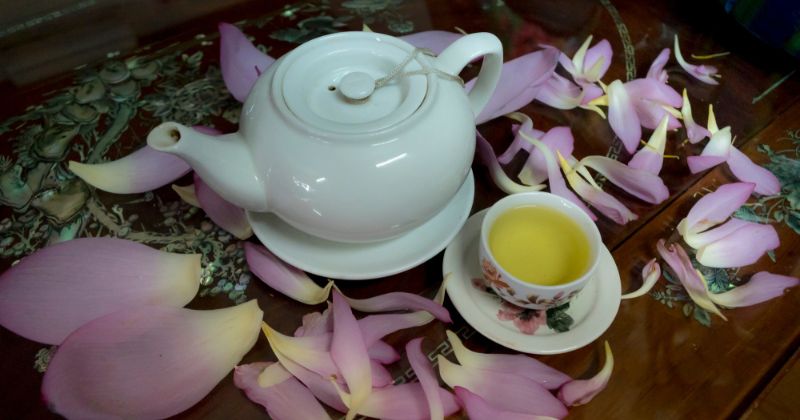 Trà tâm sen hỗ trợ ngủ ngon, sâu giấc (Ảnh: Sưu tầm Internet)