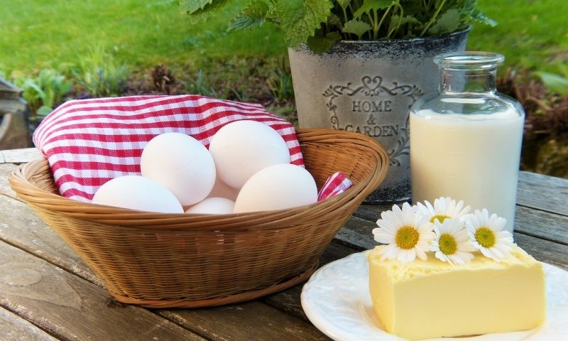 Bổ sung 2 ly sữa mỗi ngày giúp mẹ có được lượng canxi cần thiết. (Nguồn: Internet)