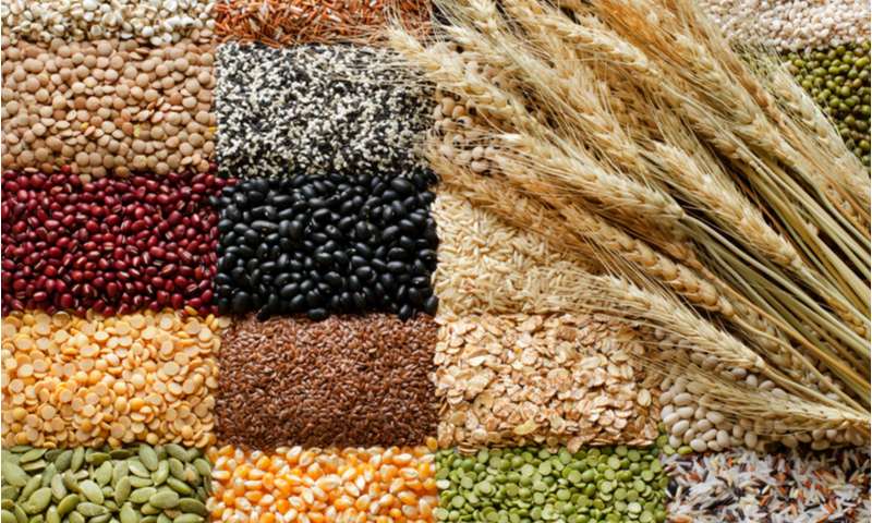 Ngũ cốc chưa nhiều dinh dưỡng, giúp lợi sữa cho mẹ sau sinh. (Nguồn: Internet)