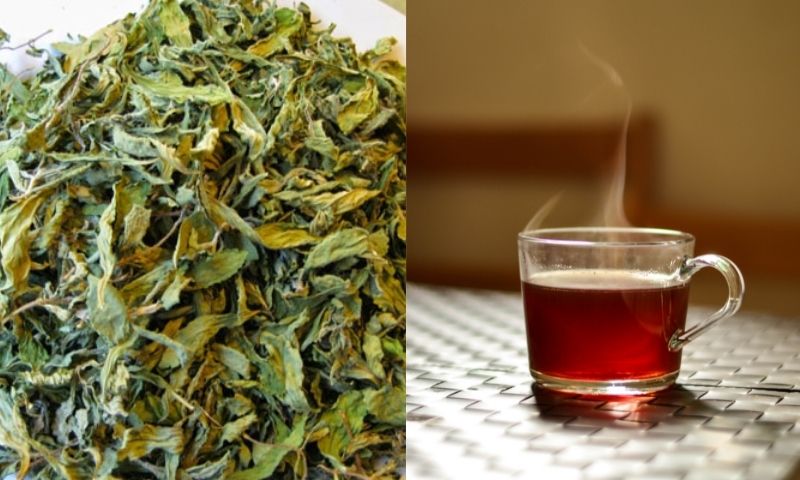 Mẹ có thể sử dụng chè vằng thay cho nước uống mỗi ngày. (Nguồn: Internet)