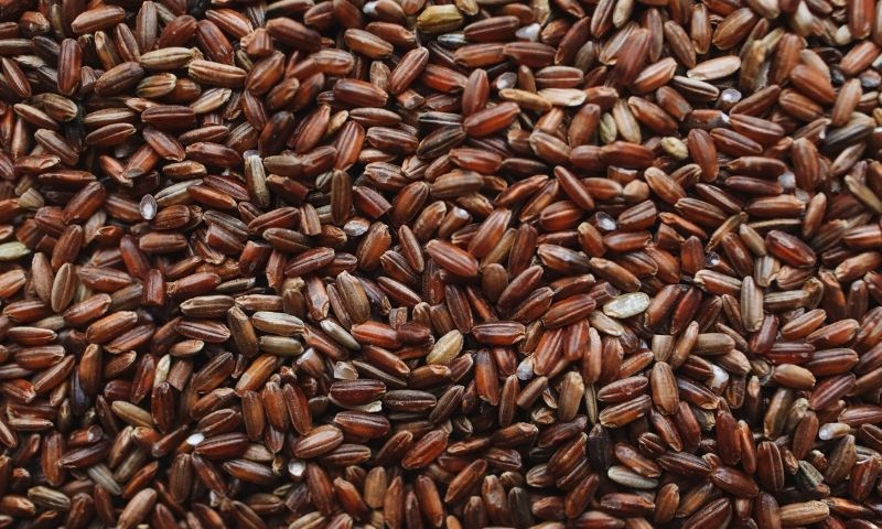 Gạo lứt rất tốt cho sữa mẹ. (Ảnh: Nguồn Internet)