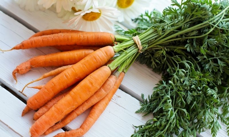 Cà rốt giàu vitamin A và khoáng chất. (Ảnh: Nguồn Internet)