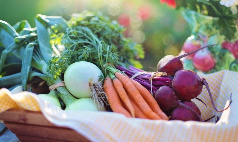 Rau củ chứa nhiều các vitamin tự nhiên. (Nguồn: Internet)