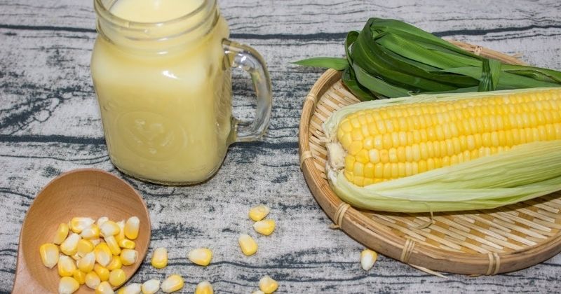 Một số lưu ý khi uống sữa bắp không thể bỏ qua (Ảnh: Sưu tầm Internet)