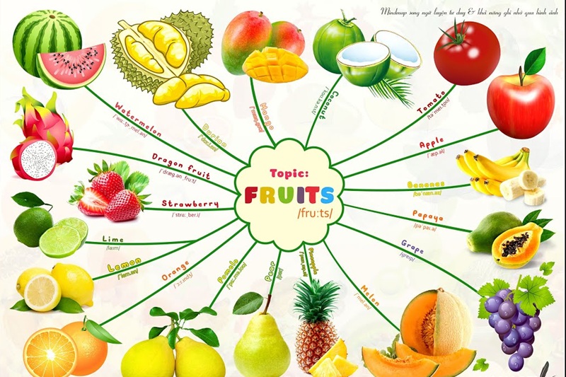 English vocabulary mind map on the topic of fruits (Image source: Collected from the internet)