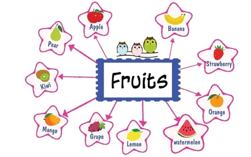 Enhance children's thinking and memory skills through learning with mind maps (Image source: Collected from the internet)