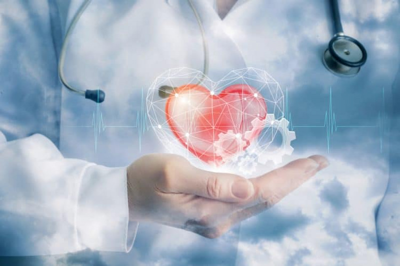 Dinh dưỡng trong mực giảm nguy cơ mắc bệnh tim. (Ảnh: Sưu tầm Internet)