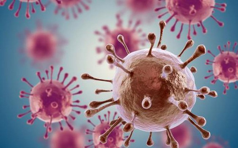 Mực có vai trò kích hoạt các selenoprotein, cải thiện hệ miễn dịch và bảo vệ cơ thể khỏi các gốc tự do. (Ảnh: Sưu tầm Internet)