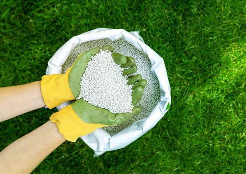 Muối nitrat được ứng dụng nhiều nhất trong phân bón hóa học. (Ảnh: Sưu tầm Internet)