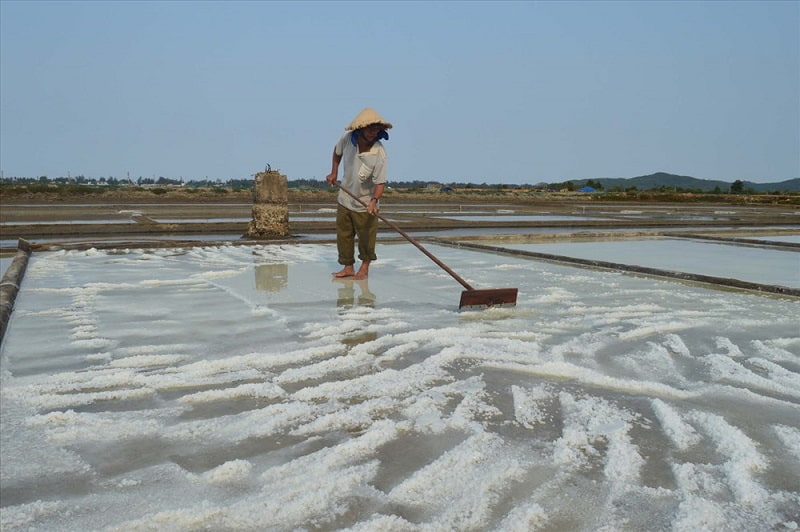 Sản xuất muối. (Ảnh: Laodong.vn)