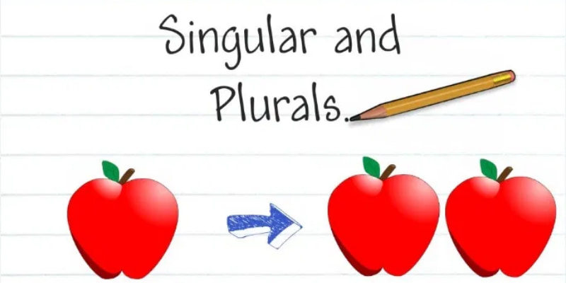 Danh từ số ít, số nhiều. (Ảnh: Sưu tầm Internet)