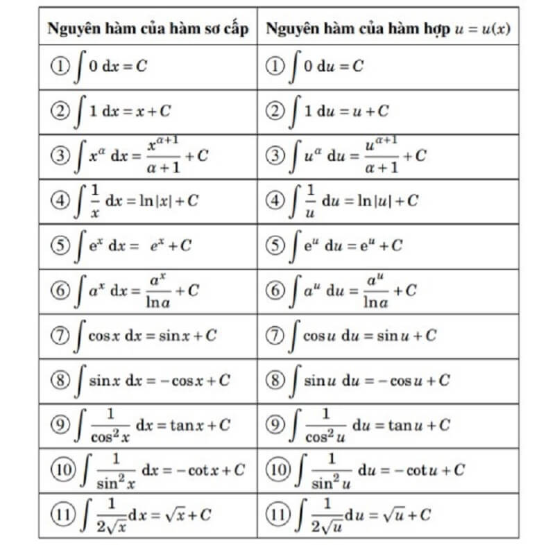 Bảng tổng hợp các nguyên hàm cơ bản trong toán học. (Ảnh: Vuihoc.vn)