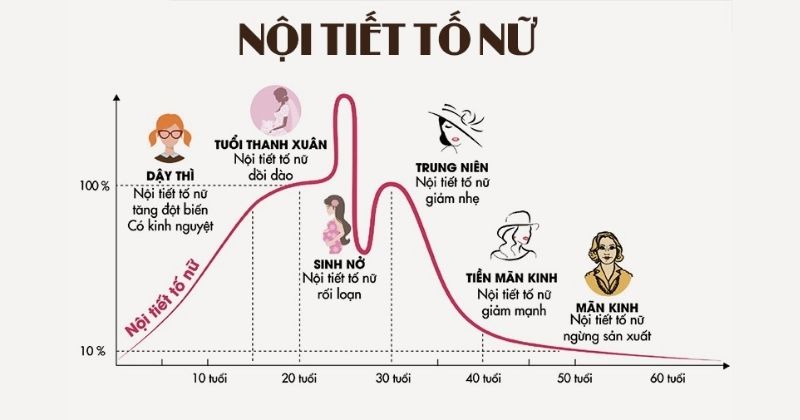 Sự thay đổi nội tiết tố của nữ cũng là lý do dẫn đến trầm cảm (Ảnh: Sưu tầm Internet)