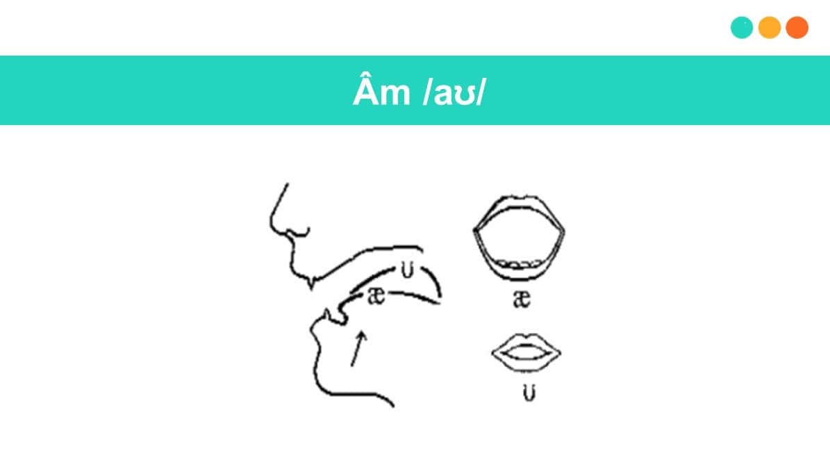 Hướng dẫn cách phát âm nguyên âm đôi /aʊ/ (Ảnh: Sưu tầm Internet)