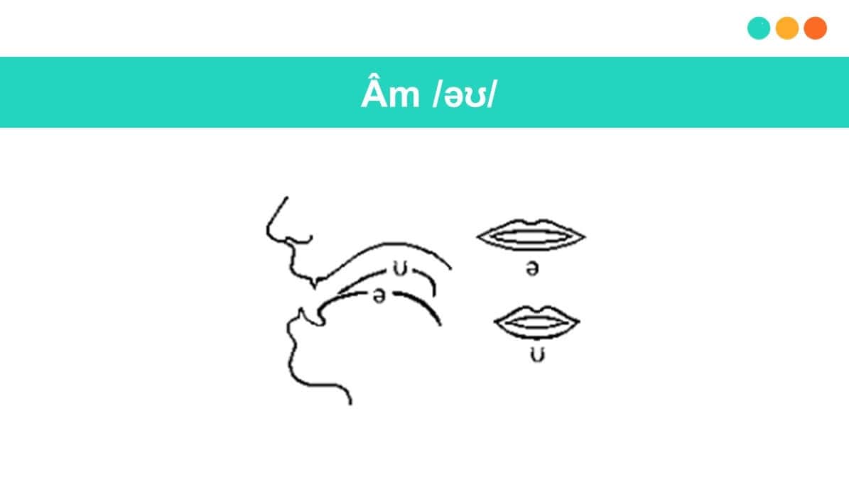 Hướng dẫn cách phát âm nguyên âm đôi /əʊ/ (Ảnh: Sưu tầm Internet)