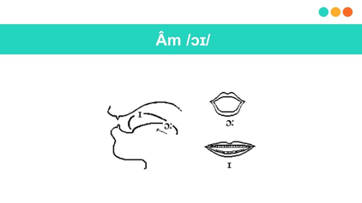 Hướng dẫn cách phát âm nguyên âm đôi /ɔɪ/ (Ảnh: Sưu tầm Internet)