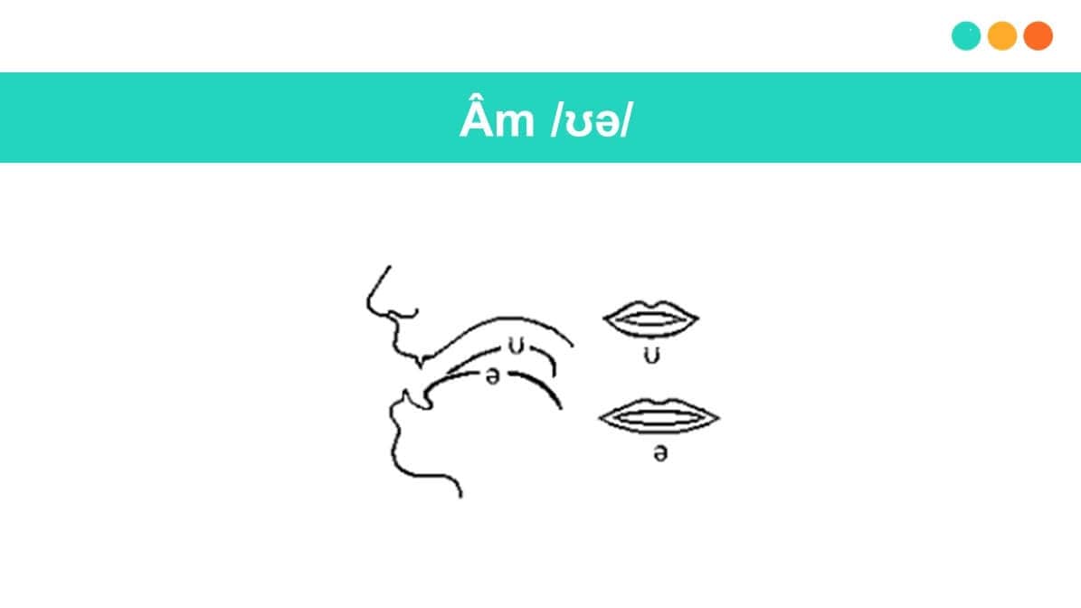 Hướng dẫn cách phát âm nguyên âm đôi /ʊə/ (Ảnh: Sưu tầm Internet)