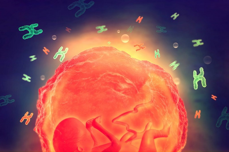 Bản giao hưởng From the New World của Antonin Dvarak giúp thai nhi thư thái. (Ảnh: Sưu tầm Internet)