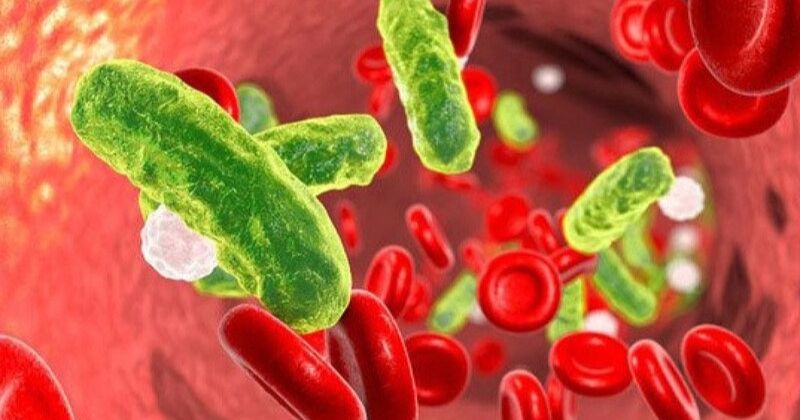 Nhiễm trùng đường huyết sau khi sinh (Ảnh: Sưu tầm Internet)