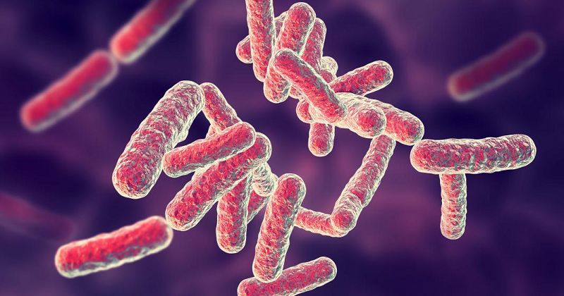 Một số nguyên nhân khiến mẹ bị nhiễm trùng sau sinh (Ảnh: Sưu tầm Internet)