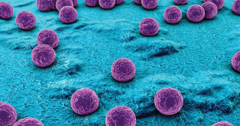 Nhiễm trùng vết thương mổ là do các vi khuẩn gây hại xâm nhập (Ảnh: Sưu tầm Internet)