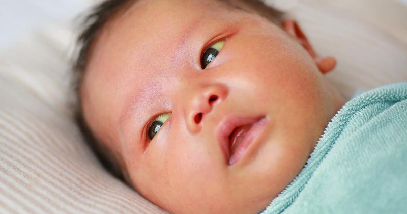 Những dấu hiệu cảnh báo trẻ bị đau mắt, viêm kết mạc. (Ảnh: Sưu tầm Internet)