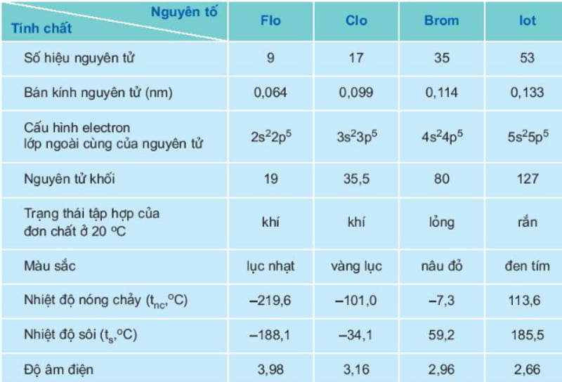 Sự biến đổi màu sắc và trạng thái các nguyên tố nhóm halogen. (Ảnh: Sưu tầm Internet)