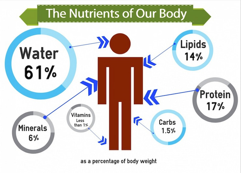 Nhu cầu dinh dưỡng của cơ thể bao gồm những gì? (Ảnh: Sưu tầm Internet)