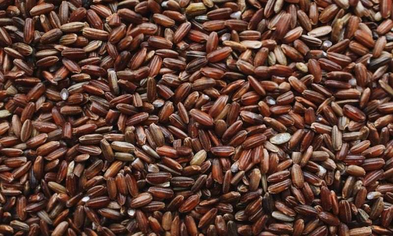 Gạo lứt chứa nhiều vitamin nhóm B và sắt giúp tái tạo máu. (Nguồn: Internet)