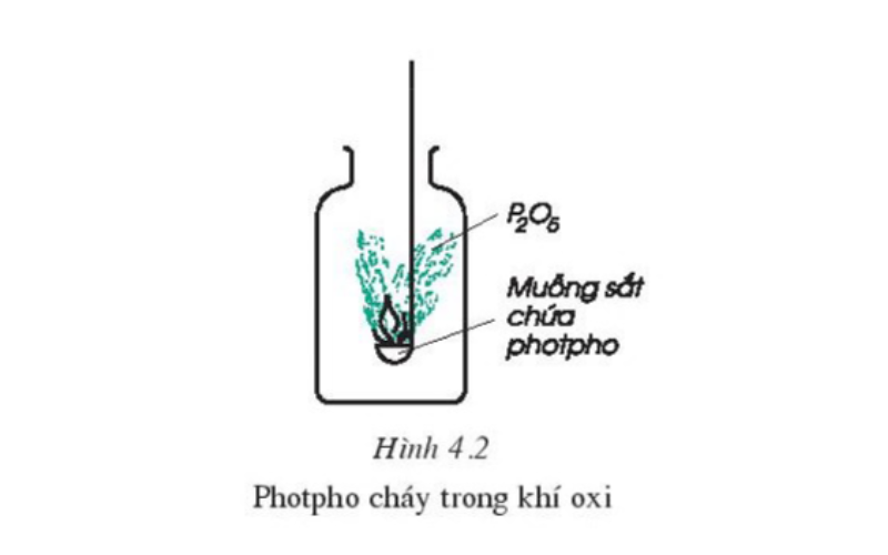 Photpho cháy trong oxi. (Ảnh: Sưu tầm Internet)