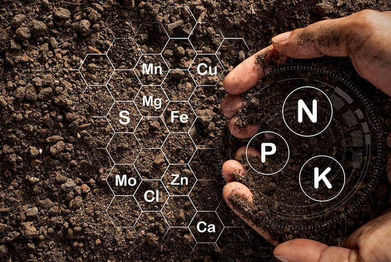 Phân bón hóa học là gì? (Ảnh: Sưu tầm Internet)