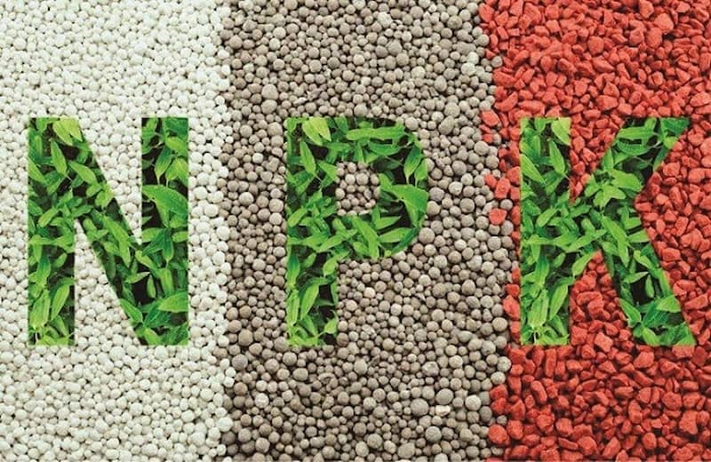 Phân hỗn hợp NPK. (Ảnh: Sưu tầm Internet)