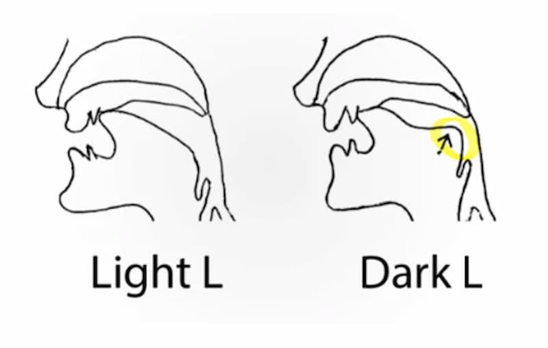 Điểm khác biệt trong cách phát âm Light L và Dark L. (Ảnh: Internet)