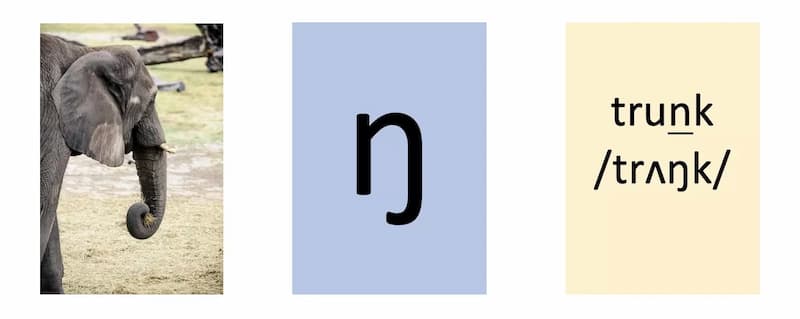 Cách phát âm chữ N trong 1 từ tiếng Anh. (Ảnh: Internet)
