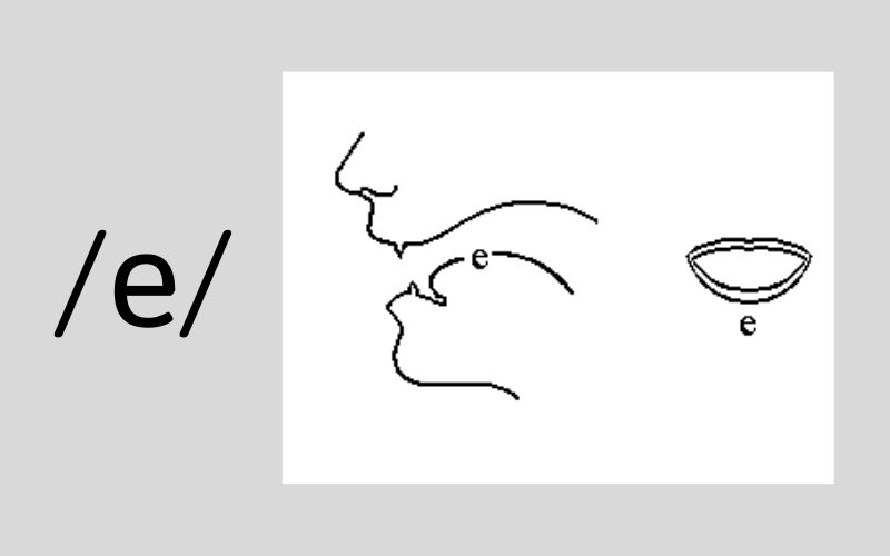 Cách phát âm âm /e/ (Nguồn: Monkey)