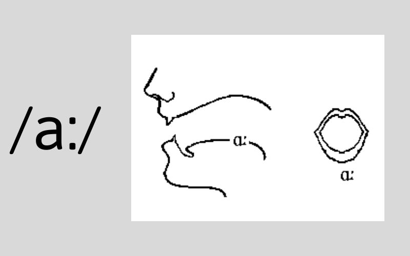 Cách phát âm âm /a:/ (Nguồn: Monkey)