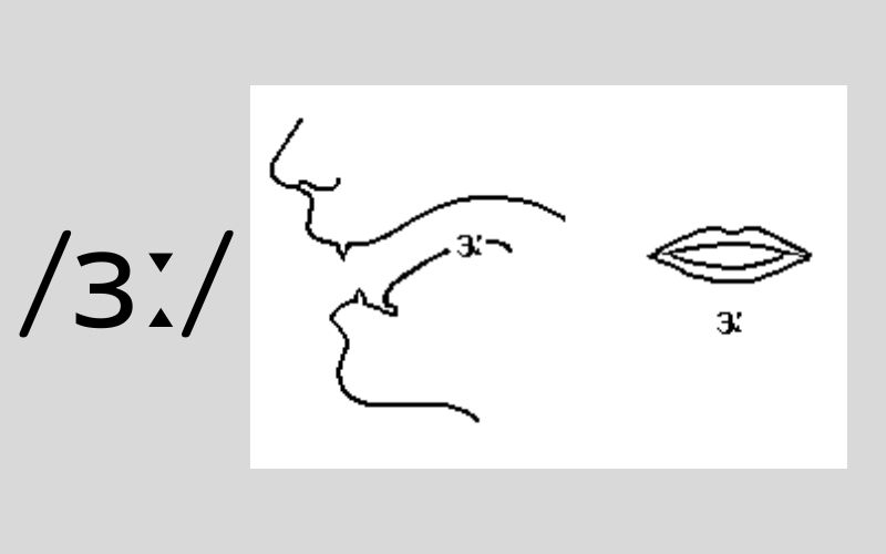 Cách phát âm âm /ɜː/ (Nguồn: Monkey)