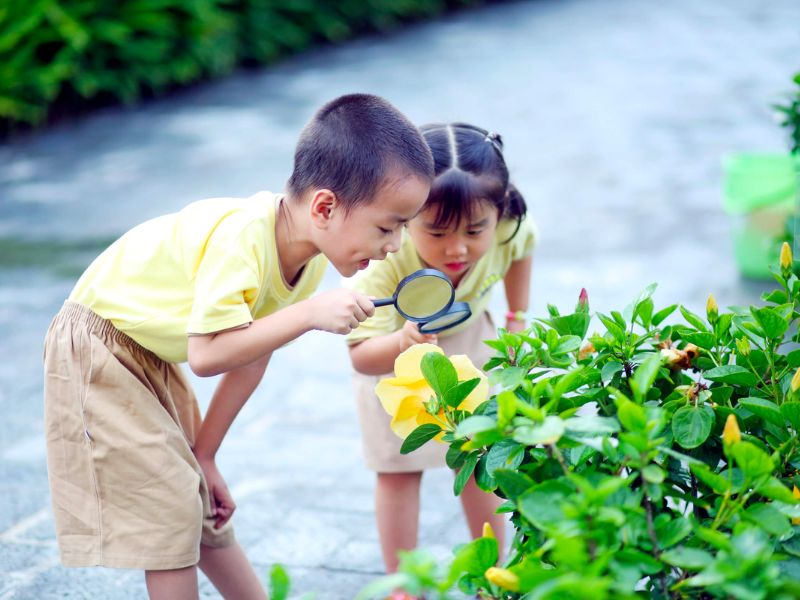 Tự học hỏi và tìm hiểu kiến thức mới (Ảnh: Sưu tầm internet)