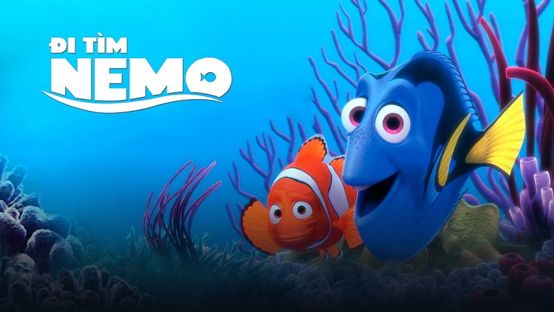 Finding Nemo. (Ảnh: Sưu tầm Internet)
