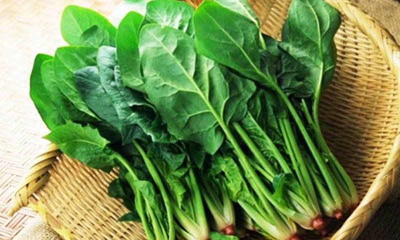 Cải bó xôi giàu vitamin và chất xơ cần thiết cho cơ thể. (Nguồn: Internet)