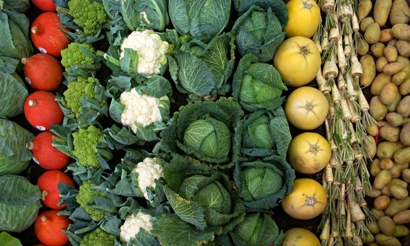 Ăn nhiều loại ra màu xanh đậm rất tốt cho cơ thể. (Nguồn: Internet)