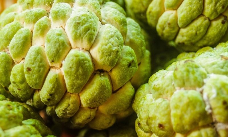 Bà đẻ nên chọn loại na chín kỹ, tránh ăn na còn xanh. (Nguồn: Internet)