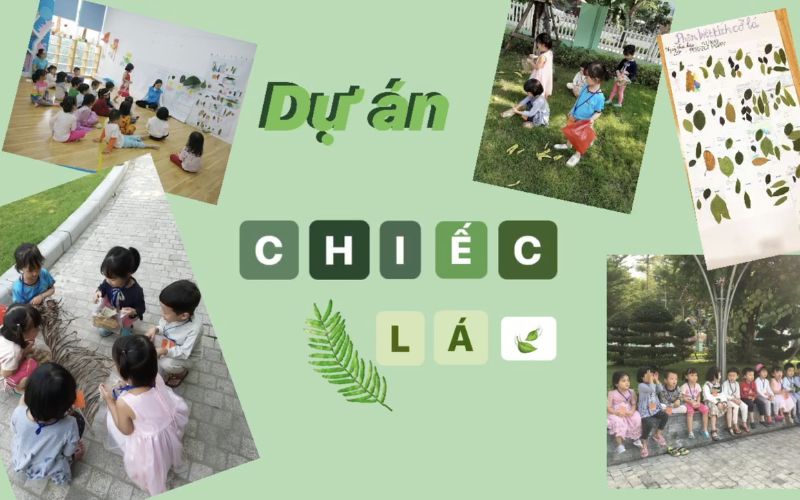 Tìm hiểu các bước áp dụng phương pháp giáo dục dựa trên dự án. (Ảnh: Sưu tầm Internet)