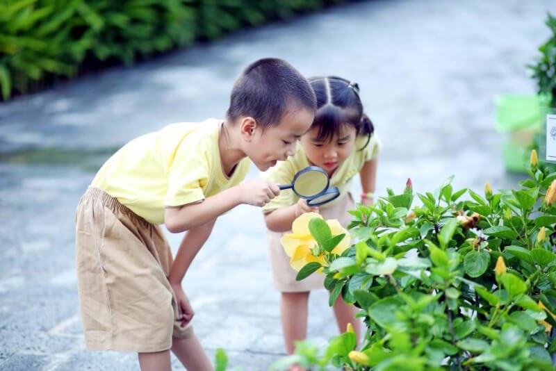 Trẻ được tự do hoạt động dựa trên mức độ phát triển của mình. (Ảnh: Sưu tầm Internet)