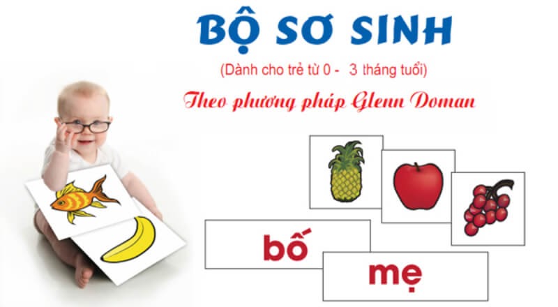 Bộ thẻ của Glenn Doman rất hấp dẫn trẻ bởi có tranh ảnh đẹp. (Ảnh: Sưu tầm Internet)