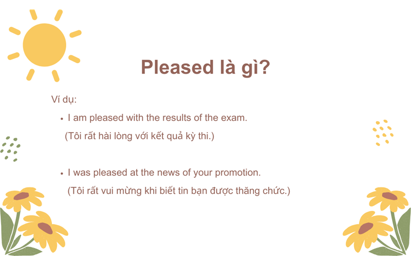 Một vài ví dụ về ý nghĩa Pleased trong tiếng Anh (Ảnh: Sưu tầm internet)