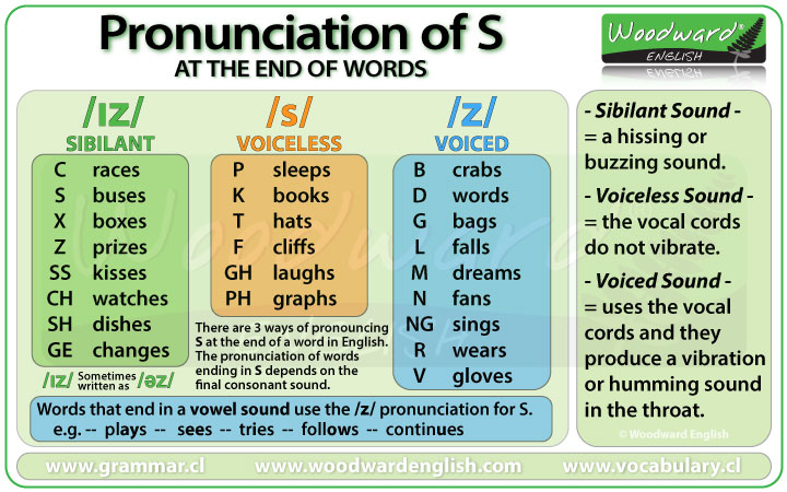 Correct pronunciation of -s and -es helps make your English clearer and easier to understand (Image: sourced from the Internet).