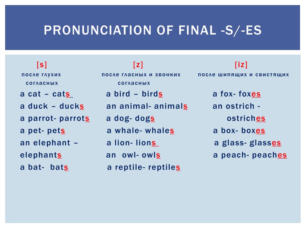 Regular practice helps learners master how to pronounce -s and -es correctly in everyday English (Image: sourced from the Internet).